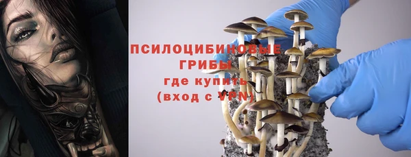гидра Зеленокумск