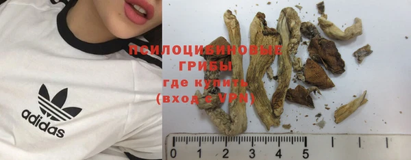 метамфетамин Инта