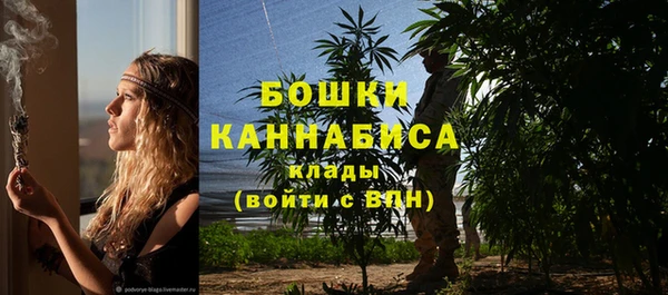 гидра Зеленокумск