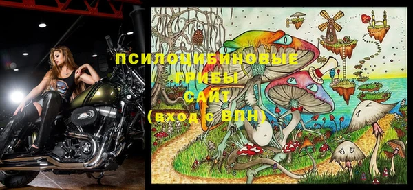 молекула духа Зерноград
