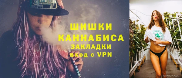 гидра Зеленокумск